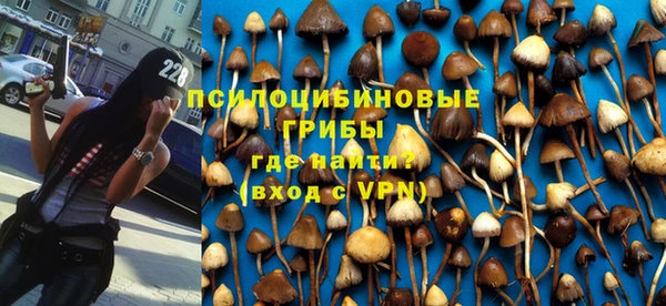 мяу мяу мука Богданович