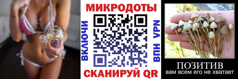 Псилоцибиновые грибы GOLDEN TEACHER  где купить наркоту  Волчанск 